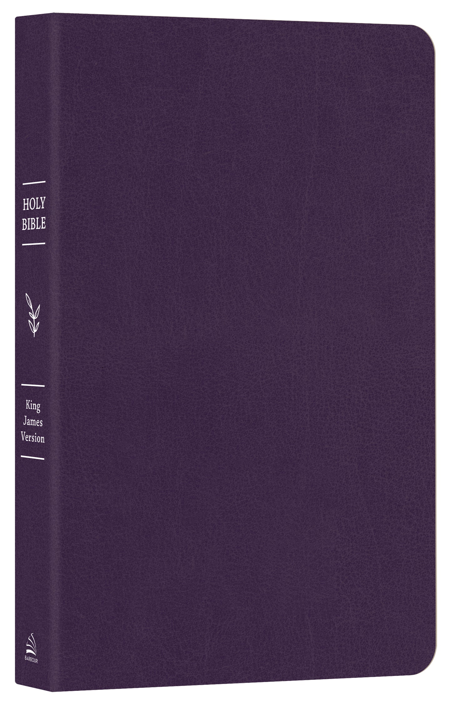 The Go-Anywhere KJV Bible for Young Women